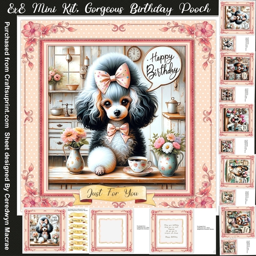 8x8 Mini Kit, Gorgeous Birthday Pooch 