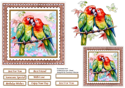 6x6 Beautiful Coloured  Love Parrots