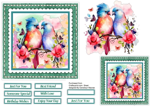 6x6 Beautiful Mixed  Love Parrots