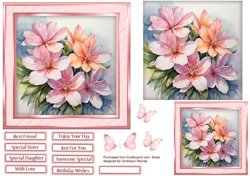 6x6 Quick Cards , Beautiful Florals 7