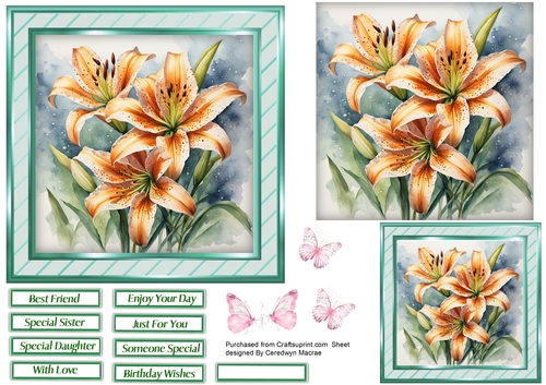 6x6 Quick Cards , Beautiful Florals 8