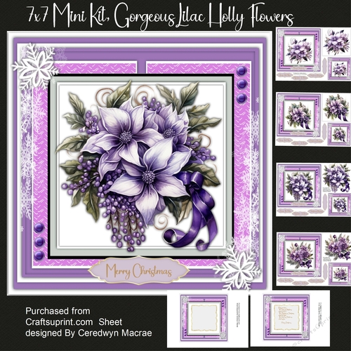 7x7 Mini Kit, Gorgeous Lilac Holly Flowers
