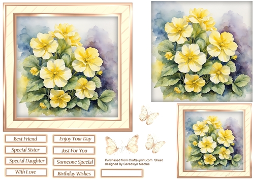 6x6 Quick Cards Beautiful Floral Primroses , 