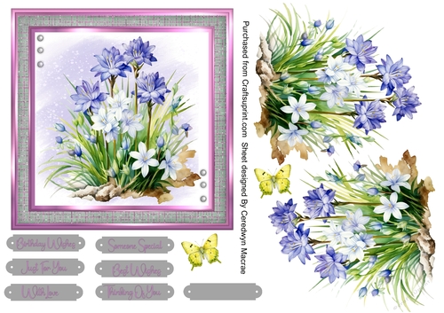 6x6 Quick Cards Beautiful wild flowers , 