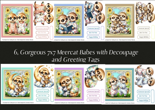 6, Gorgeous 7x7 Meercat Babes