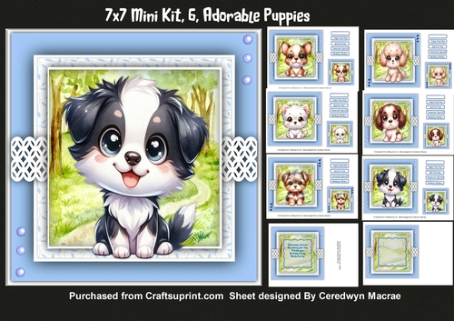7x7 Mini Kit, 6, Adorable Puppies