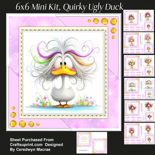 6x6 Mini Kit, Quirky Ugly Duck 