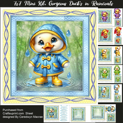 7x7 Mini Kit, Gorgeous Ducks In Raincoats