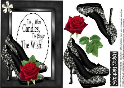 Stunning A5 Black and White Shoes