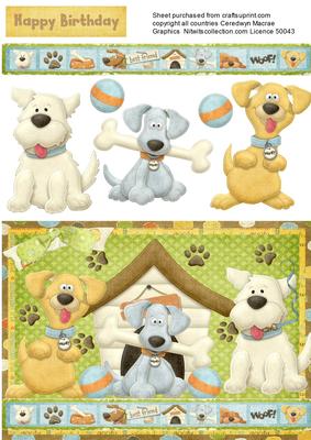 In the Dog House