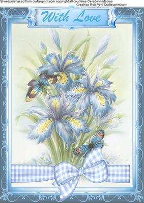 Beautiful Blue Irises