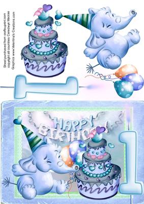 Baby Boys 1st Birthday