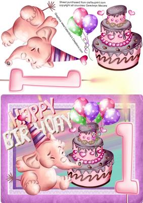 Baby Girls 1st Birthday