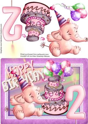 Baby Girls 2nd Birthday