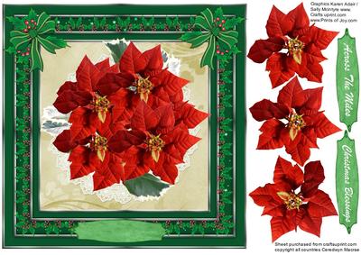 Red Poinsettias