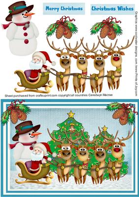 Ho.ho. Reindeer Run