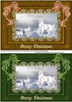 White Stags at Christmas