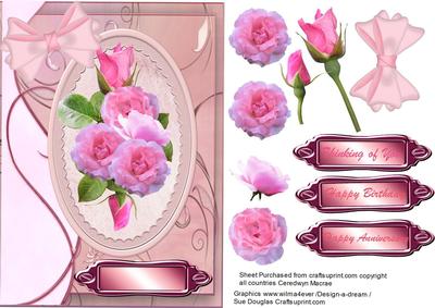 Beautiful Pink Roses