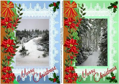 Beautiful Christmas Toppers