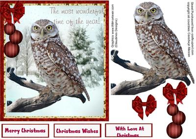 Beautiful Barn /tawney Owl