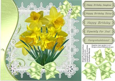 Daffodil Blooms