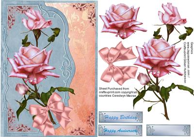 Beautiful Cameo Rose
