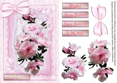 Beautiful Pink Azaleas