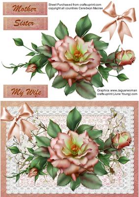 Beautiful Peach Rose on a Stunning Lace Mat