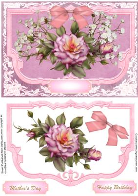 Cameo Rose in a Pink Frame.