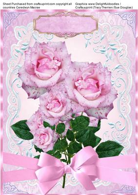 Beautiful Pink Tinged Roses