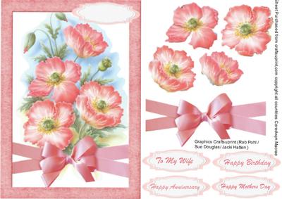 Beautiful A5 Pink Poppies