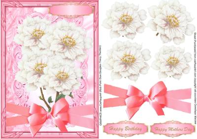 Beautiful White Camelia's