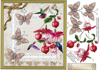 Lovely Fushia's and Humming Birds