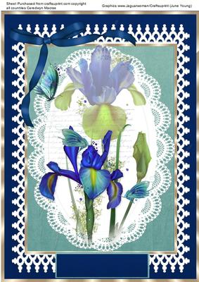 Beautiful Blue Iris on a Lace Mat