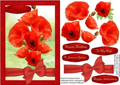 Stunning Red Poppies