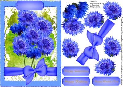 Beautiful Blue Corn Flowers