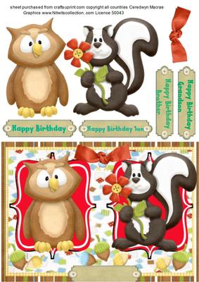 The Owl and the Racoon