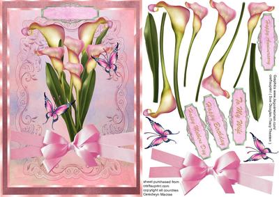 Beautiful Calla Lillies and Butterflys in Pink