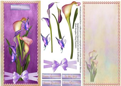 Lovely Calla Lillies and Incert