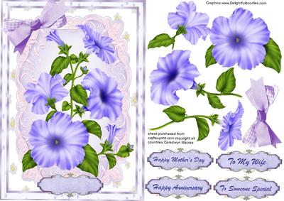 Lovely Lilac Petunia's