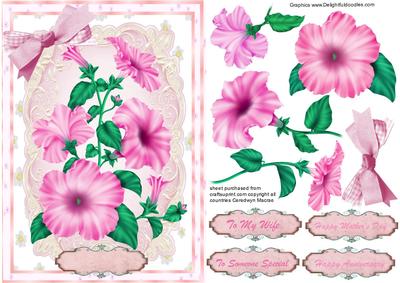 Lovely Pink Petunia's