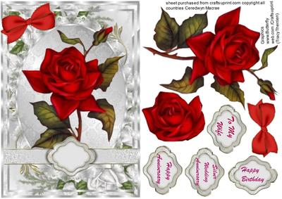 Lovely Red Rose on a Silver Frame
