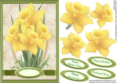 Lovely Daffodill's Standing Proud A5