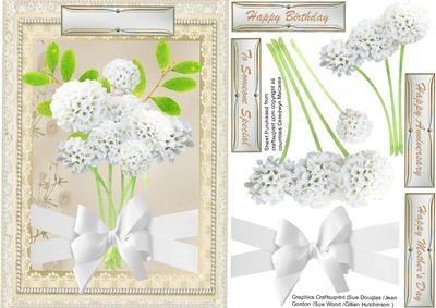 Beautiful White Pompom Blossom