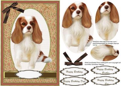 Beautiful King Charles Spaniel in Pyramarge