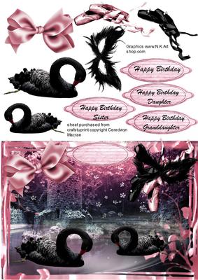 Lovely Black Swans in a Pink Frame