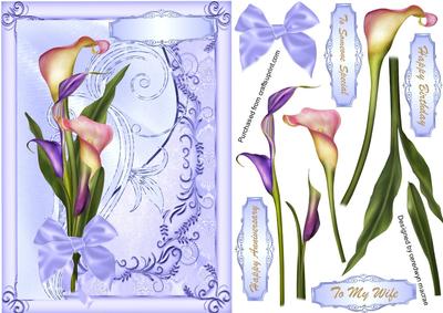 Lovely Calla Lillies in Lilacs