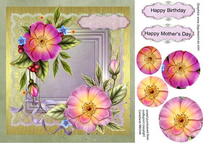 Lovely Spring Roses in Pinks