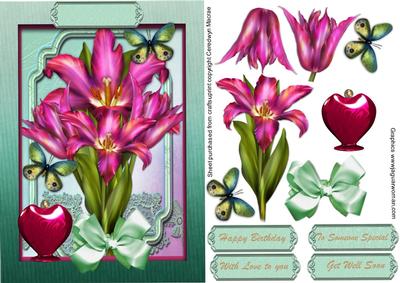 Lovely Cerise Spring Tulips
