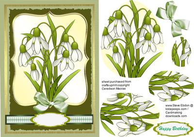 Beautiful Spring Snowdrops